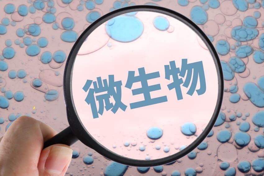 微生物の文字と虫眼鏡